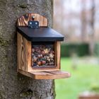 Squirrel Feeder Victoria