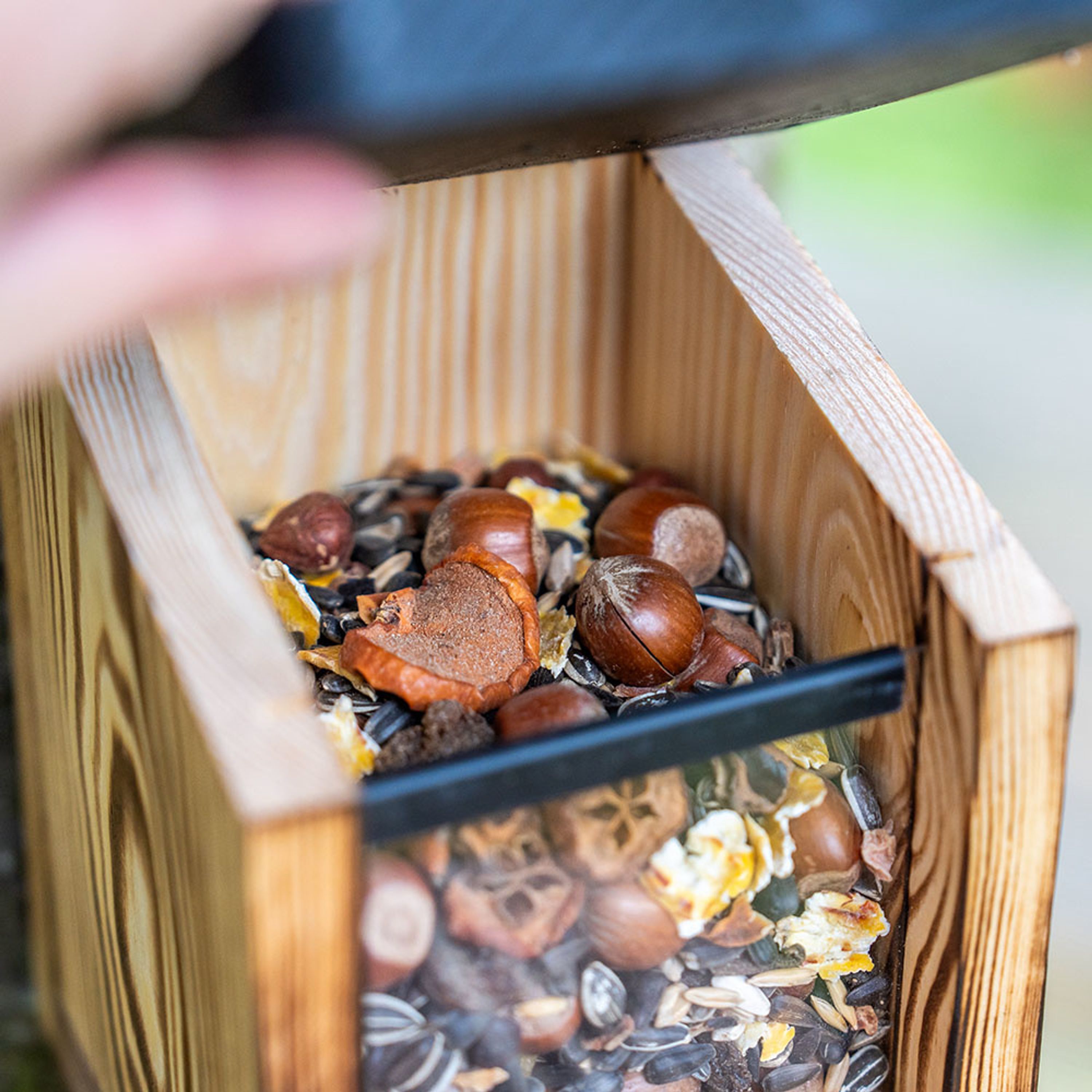 Eichhörnchen-Futterautomat Victoria | CJ Wildlife