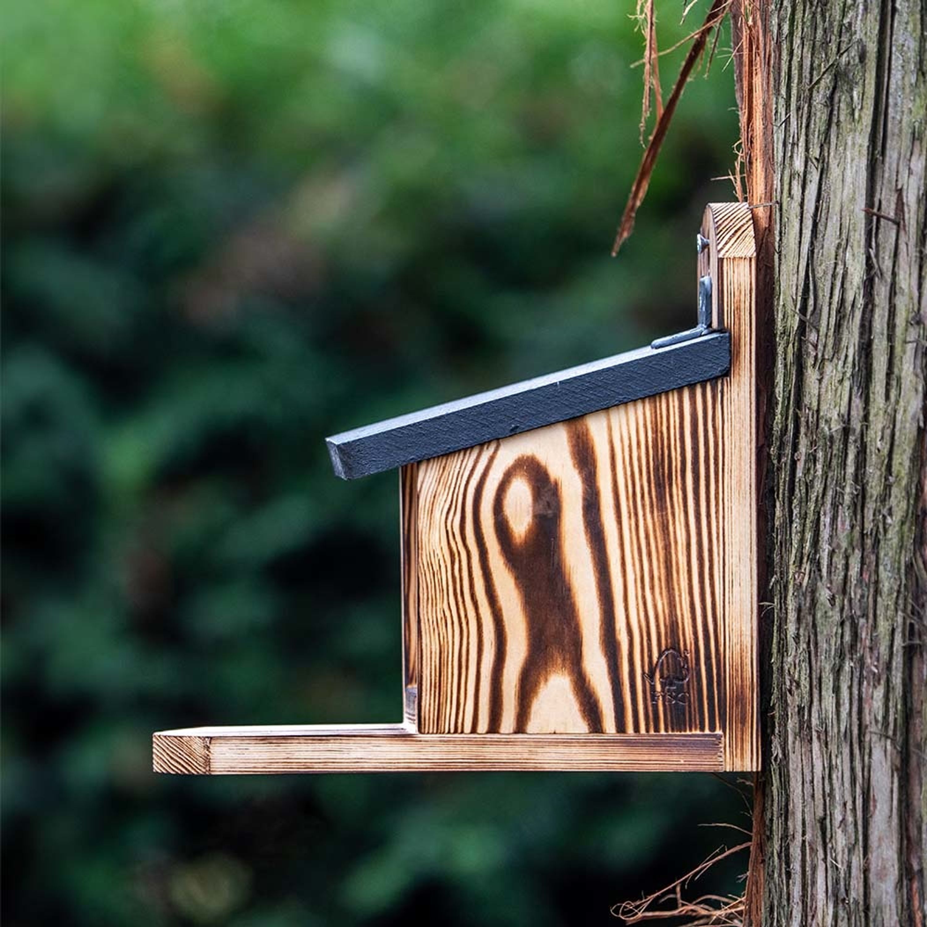 Eichhörnchen-Futterautomat Victoria | CJ Wildlife