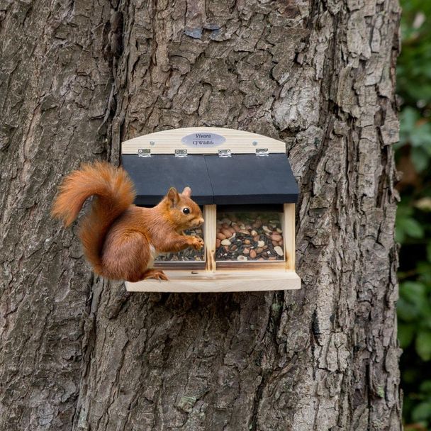 Large Double Squirrel Feeder Galiano