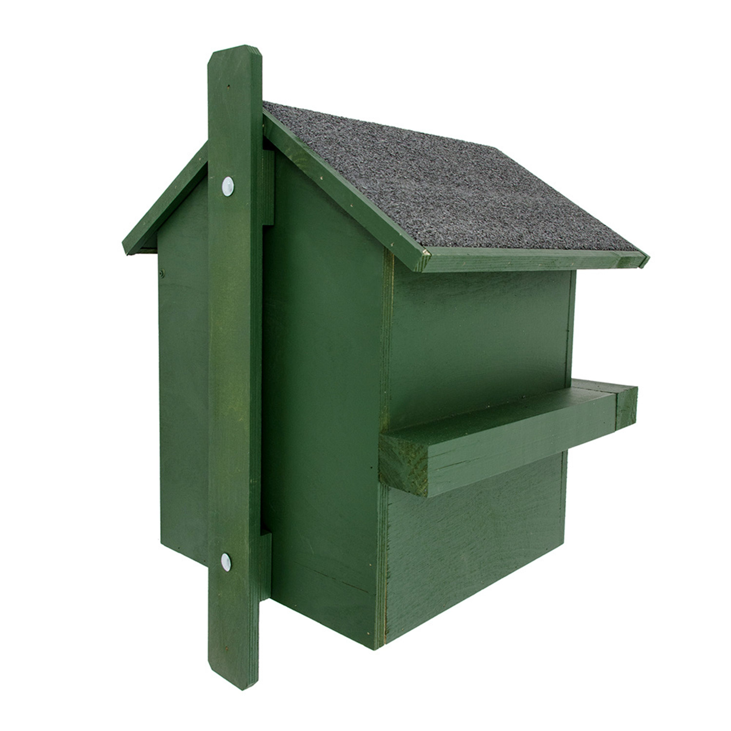 Eichhörnchen-Wohnhaus | CJ Wildlife