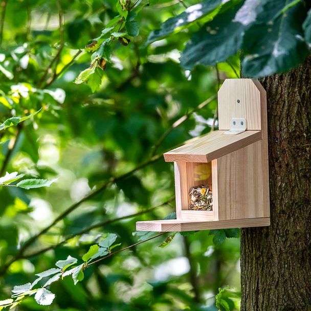 DIY Squirrel Feeder Sanjo