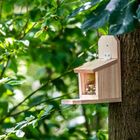 DIY Squirrel Feeder Sanjo